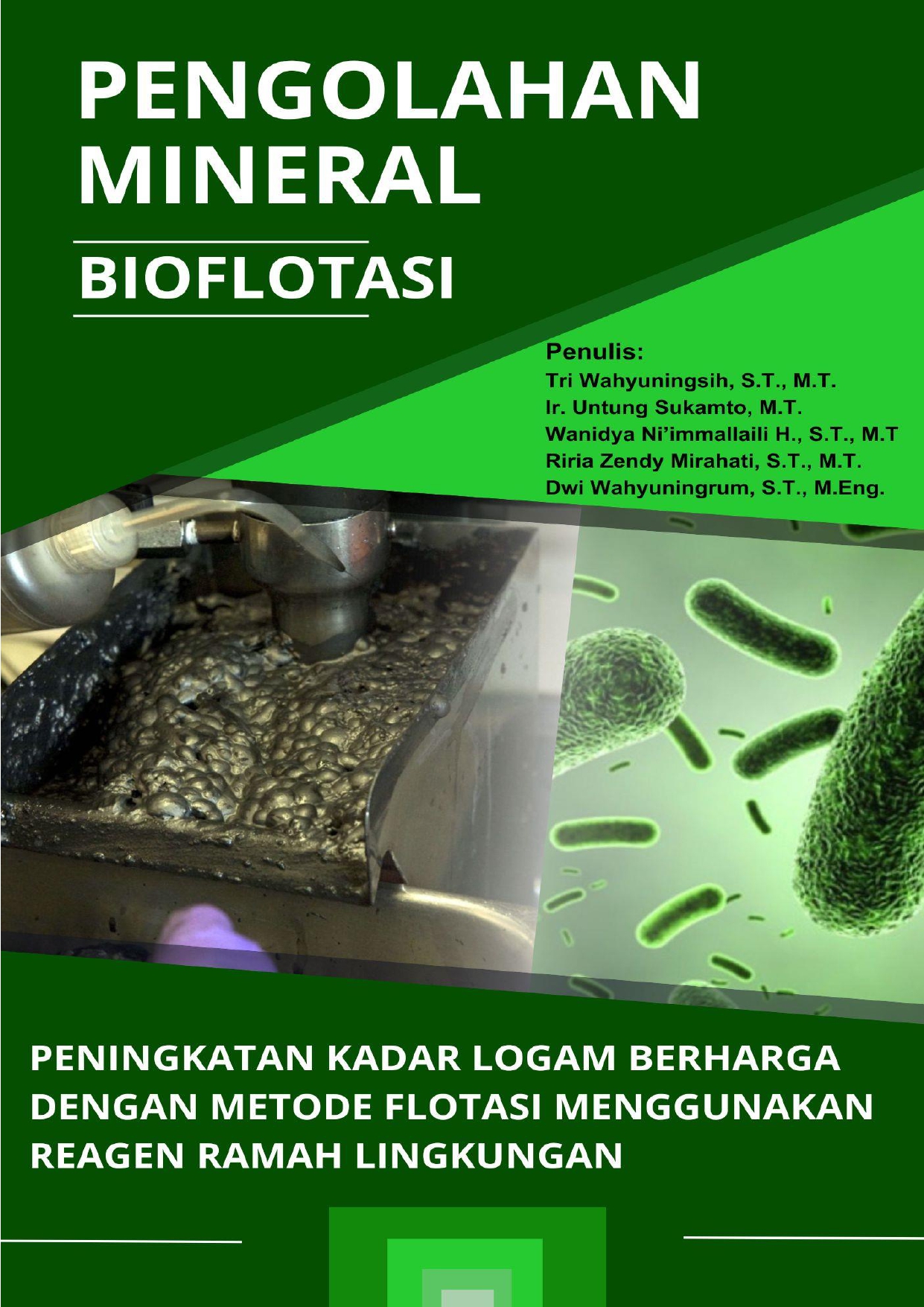 Cover Buku Pengolahan Mineral Bioflotasi : 
Peningkatan Kadar Logam Berharga dengan Metode Flotasi Menggunakan Reagen Ramah Lingkungan
